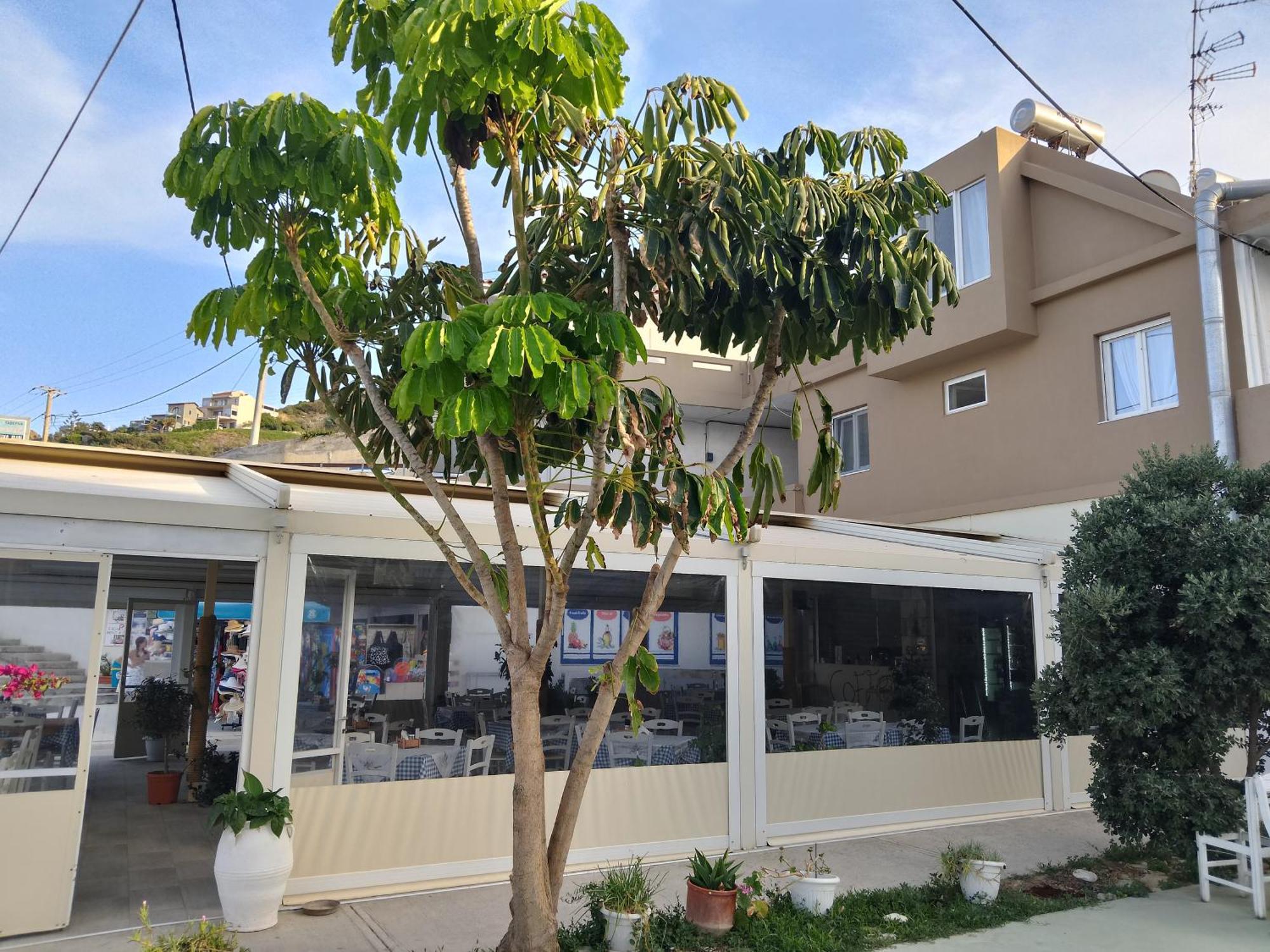 Anatoli Lygaria Apartments On The Beach Ligaria  Exterior photo